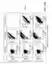 Fig. 29 - Surface display of recombinant proteins in lower eukaryotes