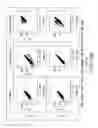 Fig. 30 - Surface display of recombinant proteins in lower eukaryotes