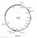 Fig. 32 - Surface display of recombinant proteins in lower eukaryotes