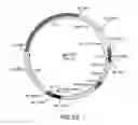 Fig. 34 - Surface display of recombinant proteins in lower eukaryotes