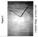 Fig. 02 - ELECTRON BEAM NUCLEIC ACID SEQUENCING