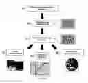 Fig. 01 - SYSTEM AND METHOD FOR THE CLONAL CULTURE OF EPITHELIAL CELLS AND APPLICATIONS THEREOF