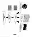 Fig. 02 - SYSTEM AND METHOD FOR THE CLONAL CULTURE OF EPITHELIAL CELLS AND APPLICATIONS THEREOF