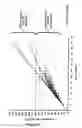 Fig. 06 - SYSTEM AND METHOD FOR THE CLONAL CULTURE OF EPITHELIAL CELLS AND APPLICATIONS THEREOF