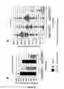 Fig. 07 - SYSTEM AND METHOD FOR THE CLONAL CULTURE OF EPITHELIAL CELLS AND APPLICATIONS THEREOF