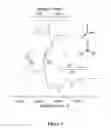 Fig. 03 - Nanotube structures having a surfactant bilayer inner wall coating