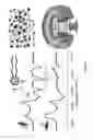 Fig. 04 - Nanotube structures having a surfactant bilayer inner wall coating