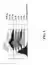 Fig. 06 - Mutant antibody Fc domains and fusion proteins thereof