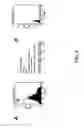 Fig. 08 - Mutant antibody Fc domains and fusion proteins thereof