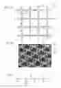 Fig. 02 - Mammary gland epithelial cell culture