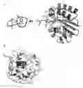 Fig. 01 - CRYSTAL OF XPA AND ERCC1 COMPLEX AND USES THEREOF
