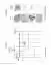Fig. 06 - PHARMACEUTICAL COMPOSITION, FOOD OR DRINK, AND METHODS RELATED THERETO