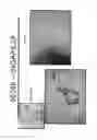 Fig. 08 - COMPOSITIONS AND METHODS FOR TREATING DIABETES USING LISOFYLLINE AND ISLET NEOGENESIS ASSOCIATED PEPTIDE