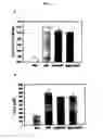 Fig. 06 - METHOD FOR CELL ADHESION AND WOUND HEALING