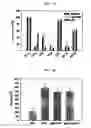 Fig. 07 - METHOD FOR CELL ADHESION AND WOUND HEALING
