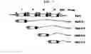 Fig. 10 - METHOD FOR CELL ADHESION AND WOUND HEALING