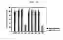 Fig. 13 - METHOD FOR CELL ADHESION AND WOUND HEALING