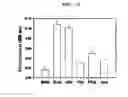 Fig. 17 - METHOD FOR CELL ADHESION AND WOUND HEALING