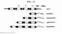 Fig. 18 - METHOD FOR CELL ADHESION AND WOUND HEALING