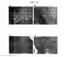 Fig. 22 - METHOD FOR CELL ADHESION AND WOUND HEALING