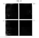 Fig. 24 - METHOD FOR CELL ADHESION AND WOUND HEALING