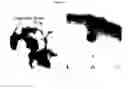 Fig. 02 - USE OF CYCLOHEXANEHEXOL DERIVATIVES IN THE TREATMENT OF ALPHA-SYNUCLEINOPATHIES