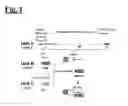 Fig. 02 - Self-assembling complex for targeting chemical agents to cells