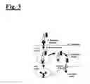 Fig. 04 - Self-assembling complex for targeting chemical agents to cells
