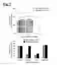 Fig. 09 - Self-assembling complex for targeting chemical agents to cells