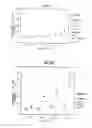 Fig. 08 - Modulation of the Phospholipase A2 Pathway as a Therapeutic