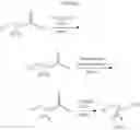 Fig. 08 - Inhibitors of CYP 17