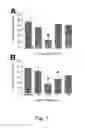 Fig. 02 - METHODS AND COMPOSITIONS FOR TREATING ISCHEMIC STROKE