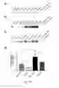 Fig. 09 - METHODS AND COMPOSITIONS FOR TREATING ISCHEMIC STROKE