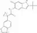 Fig. 48 - Modulators of ATP-binding cassette transporters