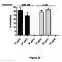 Fig. 22 - Compounds, Compositions, and Methods for the Treatment of Beta-Amyloid Diseases and Synucleinopathies