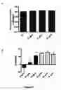 Fig. 28 - Compounds, Compositions, and Methods for the Treatment of Beta-Amyloid Diseases and Synucleinopathies