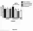 Fig. 33 - Compounds, Compositions, and Methods for the Treatment of Beta-Amyloid Diseases and Synucleinopathies
