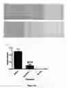 Fig. 35 - Compounds, Compositions, and Methods for the Treatment of Beta-Amyloid Diseases and Synucleinopathies