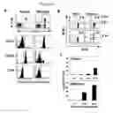 Fig. 02 - ZAP-70 as predictor and modulator of effector function of T cells