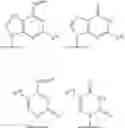 Fig. 166 - 2-5A ANALOGS AND THEIR METHODS OF USE