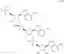 Fig. 232 - 2-5A ANALOGS AND THEIR METHODS OF USE