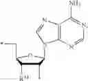 Fig. 303 - 2-5A ANALOGS AND THEIR METHODS OF USE