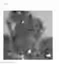 Fig. 02 - Pigment composition for printing ink, method for producing the same and method for producing printing ink