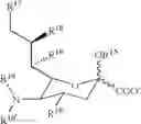 Fig. 04 - Branched water-soluble polymers and their conjugates