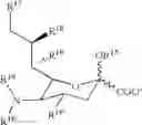 Fig. 23 - Branched water-soluble polymers and their conjugates
