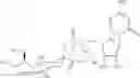 Fig. 37 - Branched water-soluble polymers and their conjugates