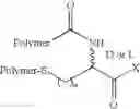 Fig. 75 - Branched water-soluble polymers and their conjugates