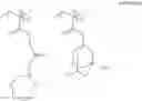Fig. 89 - (Meth)acrylate derivative, intermediate thereof, and polymer compound