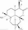 Fig. 02 - Process for manufacturing Artemisinin