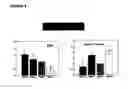 Fig. 09 - METHOD AND DEVICE FOR THE PHYSICAL TREATMENT OF PARETIC PATIENTS